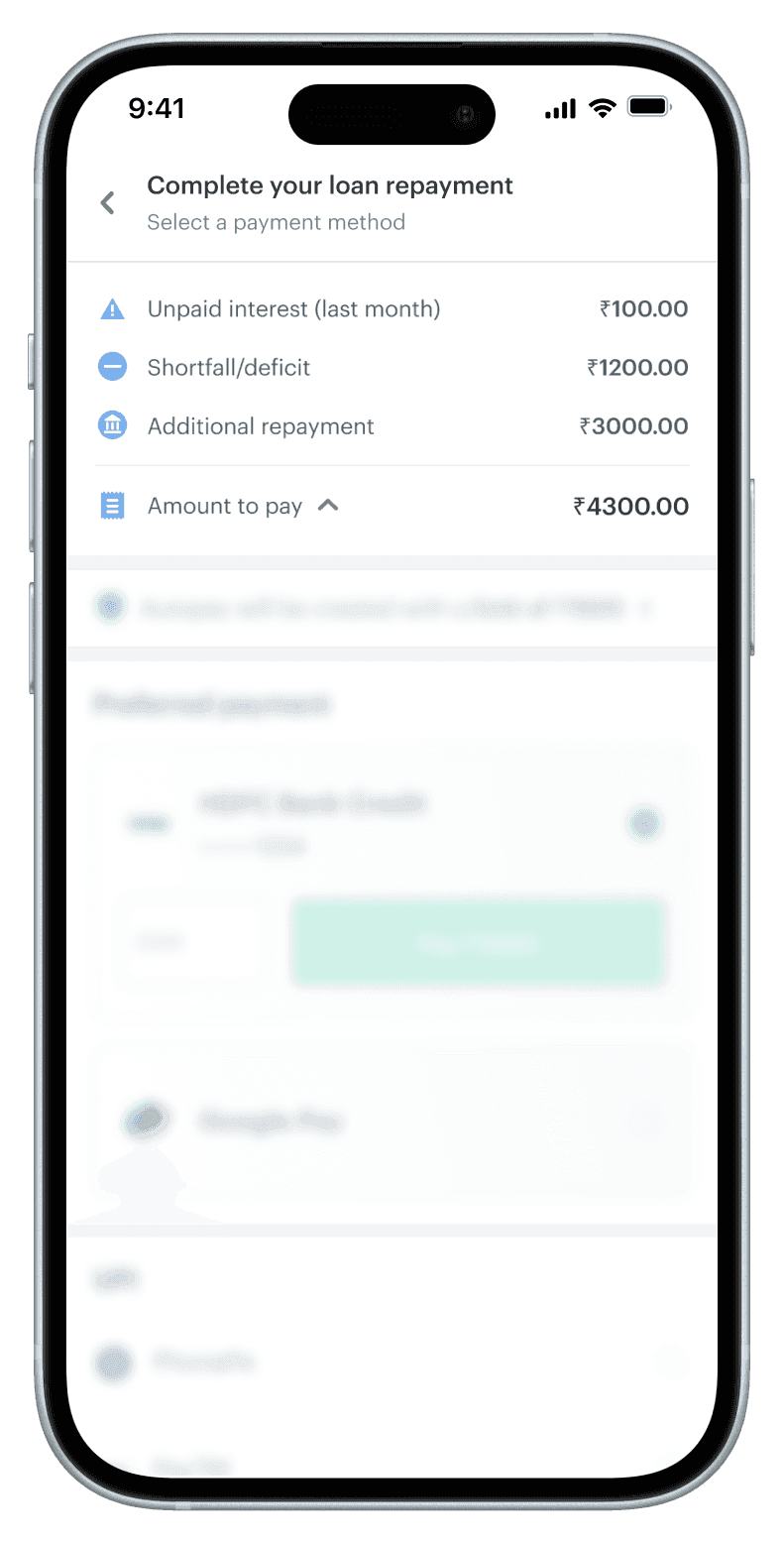 Payment summary in table format